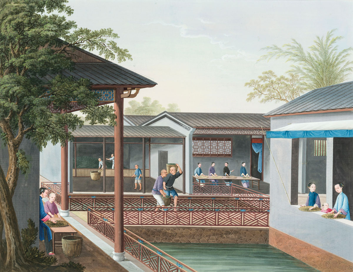 Silk production